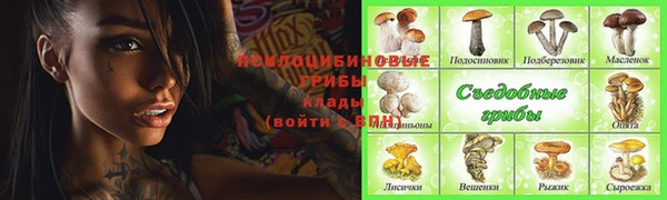 метадон Белокуриха