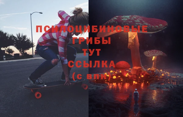 метадон Белокуриха