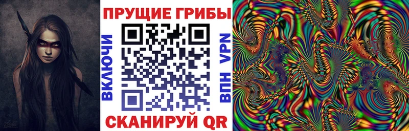 магазин продажи Называевск Псилоцибиновые грибы MAGIC MUSHROOMS