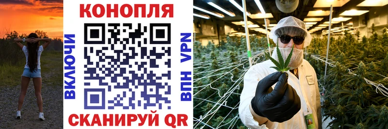 Конопля семена  где купить наркоту  дарк нет какой сайт  Называевск 